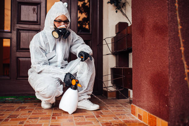 Reliable Bed Bug Control contractor in Edisto, SC by Nex Pest Control