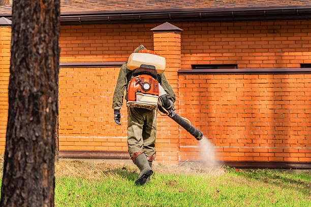 Trusted Rodent Control service in Edisto, SC - Nex Pest Control